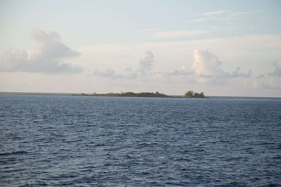 3L9A1812.jpg Aranui III - Copyright : See Otherwise 2012 - 2025