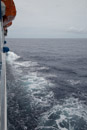 Aranui III - Copyright : See Otherwise 2012 - 2026