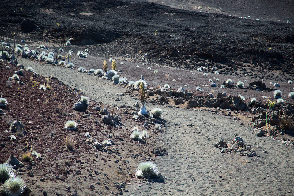 3L9A8984.jpg Caldera du Haleakala - Copyright : See Otherwise 2012 - 2025