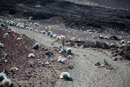 3L9A8984.jpg Caldera du Haleakala - Copyright : See Otherwise 2012 - 2024