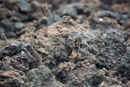 Coulee de lave - Copyright : See Otherwise 2012 - 2023