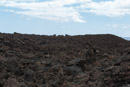 3L9A8553.jpg [Hawaii]Coulee de lave - Copyright : See Otherwise 2012 - 2022