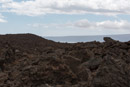 3L9A8554.jpg [Hawaii]Coulee de lave - Copyright : See Otherwise 2012 - 2022