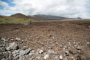 3L9A8561.jpg [Hawaii]Coulee de lave - Copyright : See Otherwise 2012 - 2022
