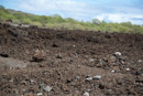 3L9A8564.jpg [Hawaii]Coulee de lave - Copyright : See Otherwise 2012 - 2022