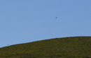 3L9A4718.jpg Faune et Flore - Copyright : See Otherwise 2012 - 2023
