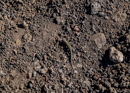 3L9A5539.jpg Faune et Flore - Copyright : See Otherwise 2012 - 2023