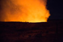 Halema uma u - Copyright : See Otherwise 2012 - 2023