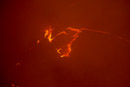Halema uma u - Copyright : See Otherwise 2012 - 2023