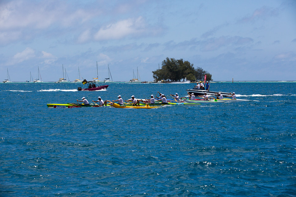3L9A5678.jpg Hawaiki nui va a - Copyright : See Otherwise 2012 - 2025