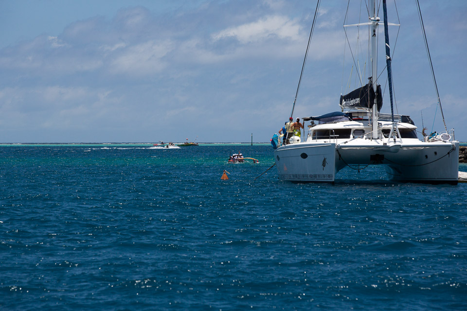 3L9A5731.jpg Hawaiki nui va a - Copyright : See Otherwise 2012 - 2024