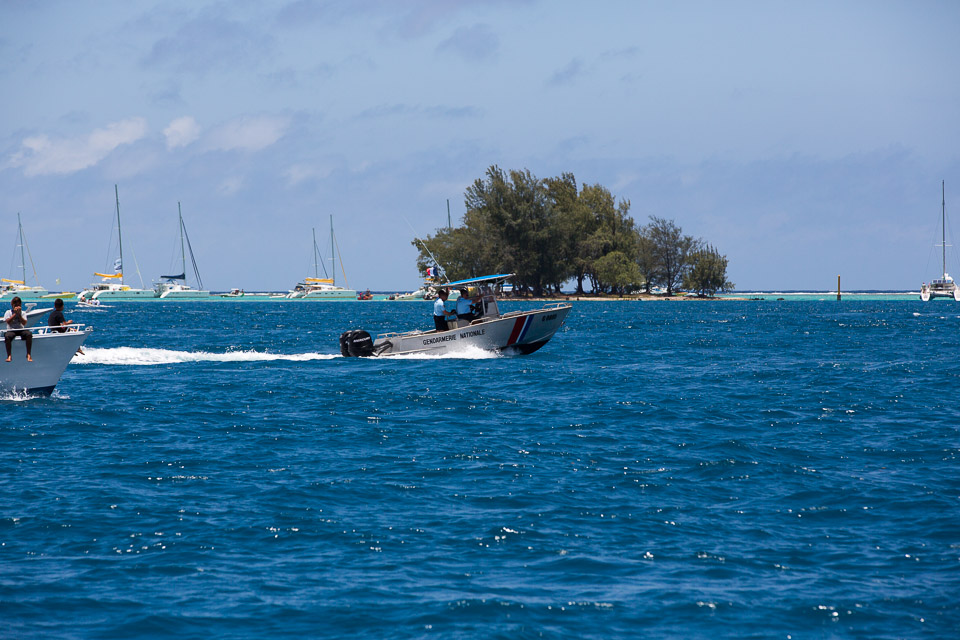 3L9A5750.jpg Hawaiki nui va a - Copyright : See Otherwise 2012 - 2025
