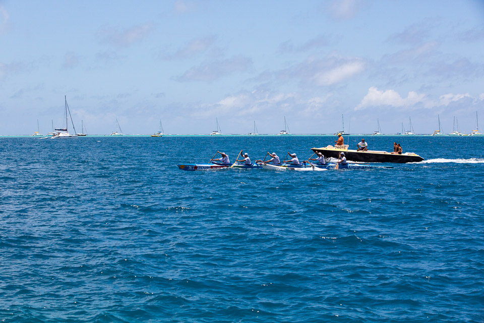 3L9A5771.jpg Hawaiki nui va a - Copyright : See Otherwise 2012 - 2025