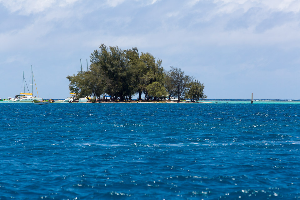 3L9A5810.jpg Hawaiki nui va a - Copyright : See Otherwise 2012 - 2025
