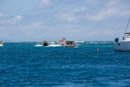 Hawaiki nui va a - Copyright : See Otherwise 2012 - 2025