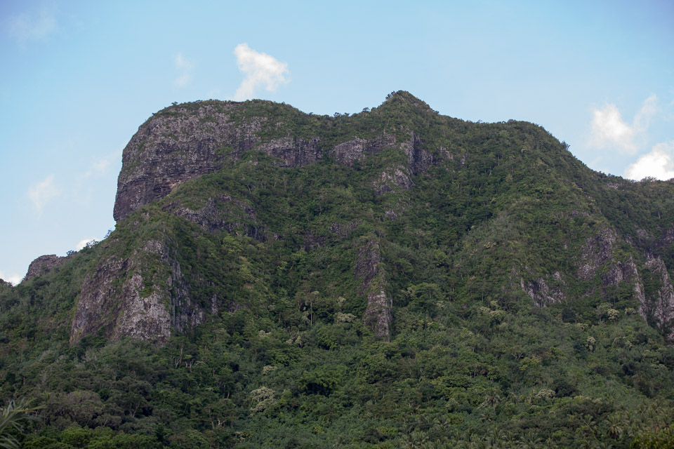 3L9A8323.jpg Iles du vent - Moorea - Copyright : See Otherwise 2012 - 2025