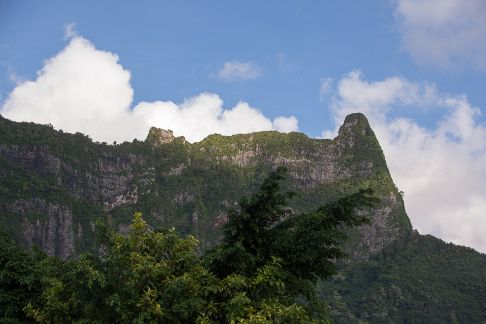 3L9A8324.jpg Iles du vent - Moorea - Copyright : See Otherwise 2012 - 2024