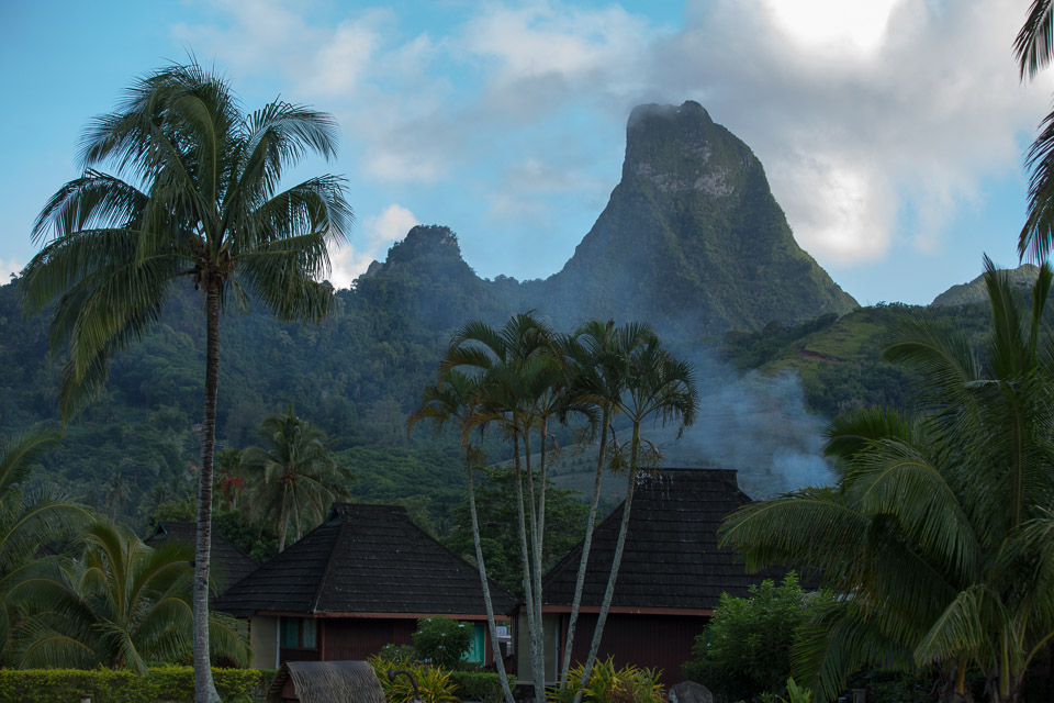 3L9A8331.jpg Iles du vent - Moorea - Copyright : See Otherwise 2012 - 2025