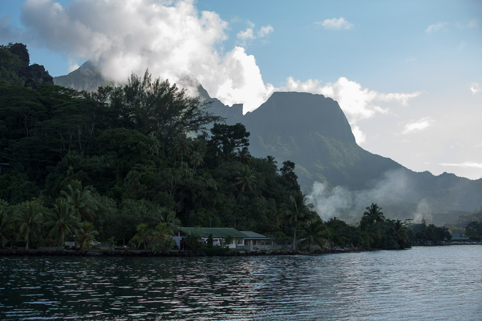3L9A8335.jpg Iles du vent - Moorea - Copyright : See Otherwise 2012 - 2024