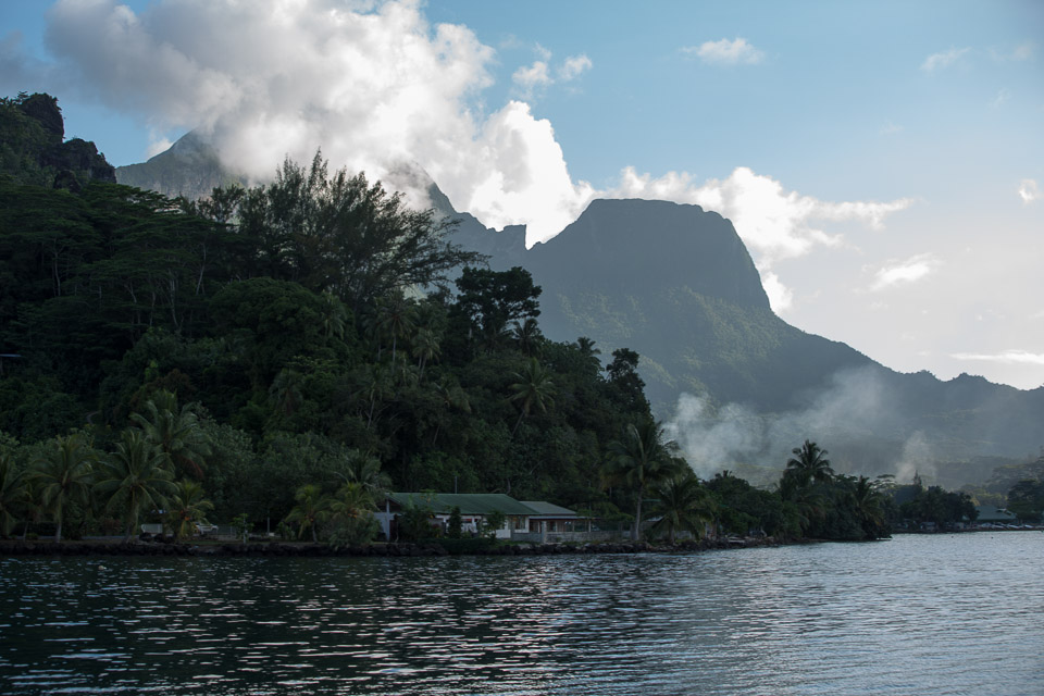 3L9A8335.jpg Iles du vent - Moorea - Copyright : See Otherwise 2012 - 2025