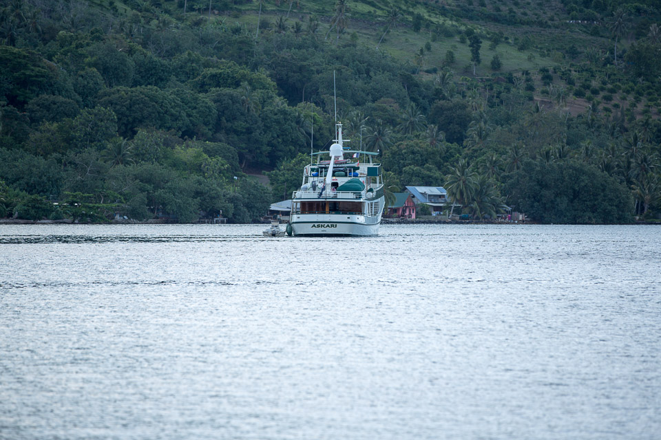 3L9A8345.jpg Iles du vent - Moorea - Copyright : See Otherwise 2012 - 2025