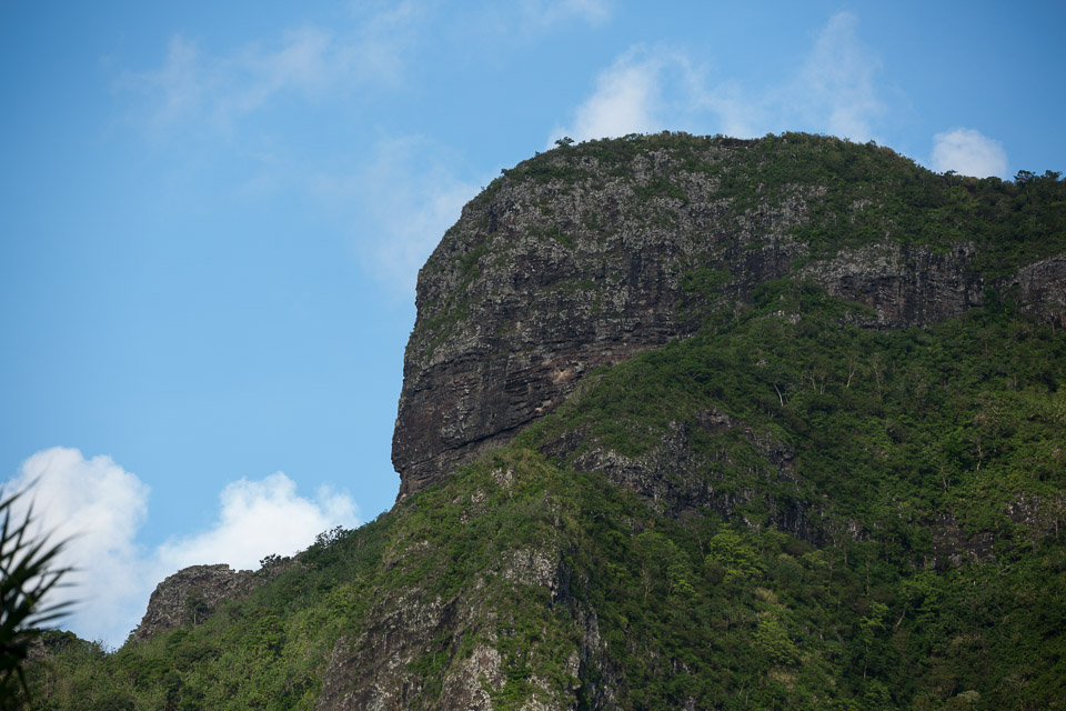 3L9A8359.jpg Iles du vent - Moorea - Copyright : See Otherwise 2012 - 2024