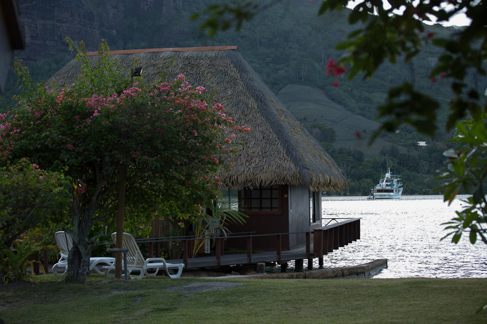 3L9A8387.jpg Iles du vent - Moorea - Copyright : See Otherwise 2012 - 2024