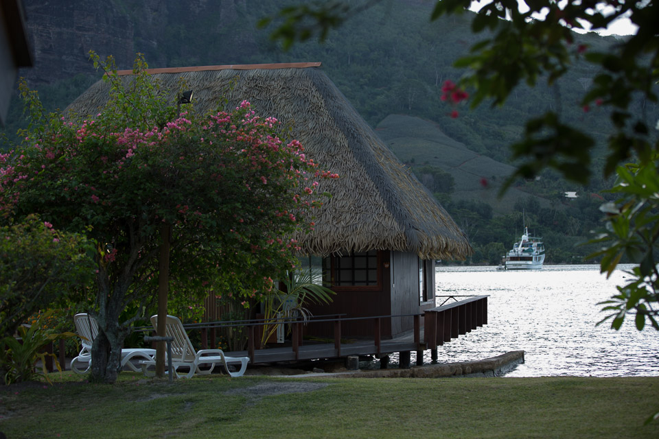3L9A8387.jpg Iles du vent - Moorea - Copyright : See Otherwise 2012 - 2025