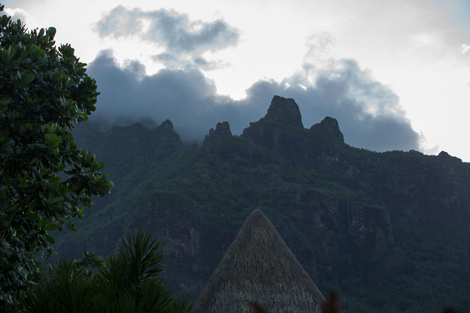 3L9A8391.jpg Iles du vent - Moorea - Copyright : See Otherwise 2012 - 2024