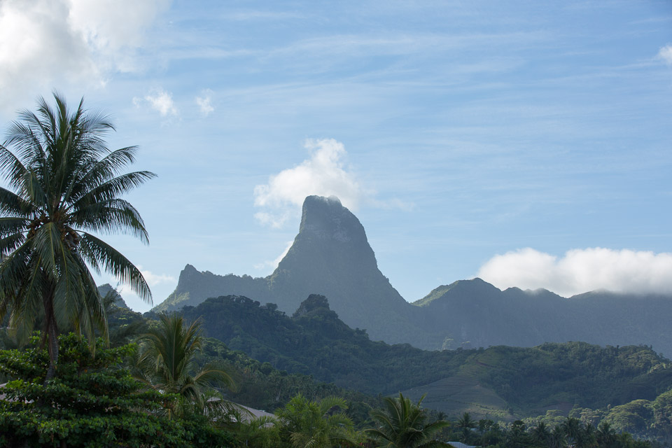 3L9A8422.jpg Iles du vent - Moorea - Copyright : See Otherwise 2012 - 2025