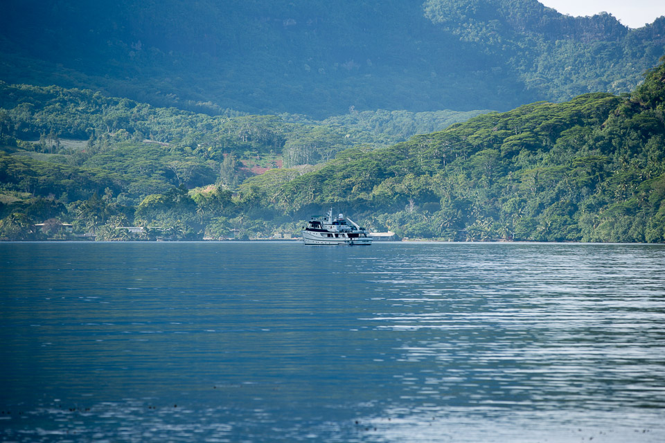 3L9A8425.jpg Iles du vent - Moorea - Copyright : See Otherwise 2012 - 2025