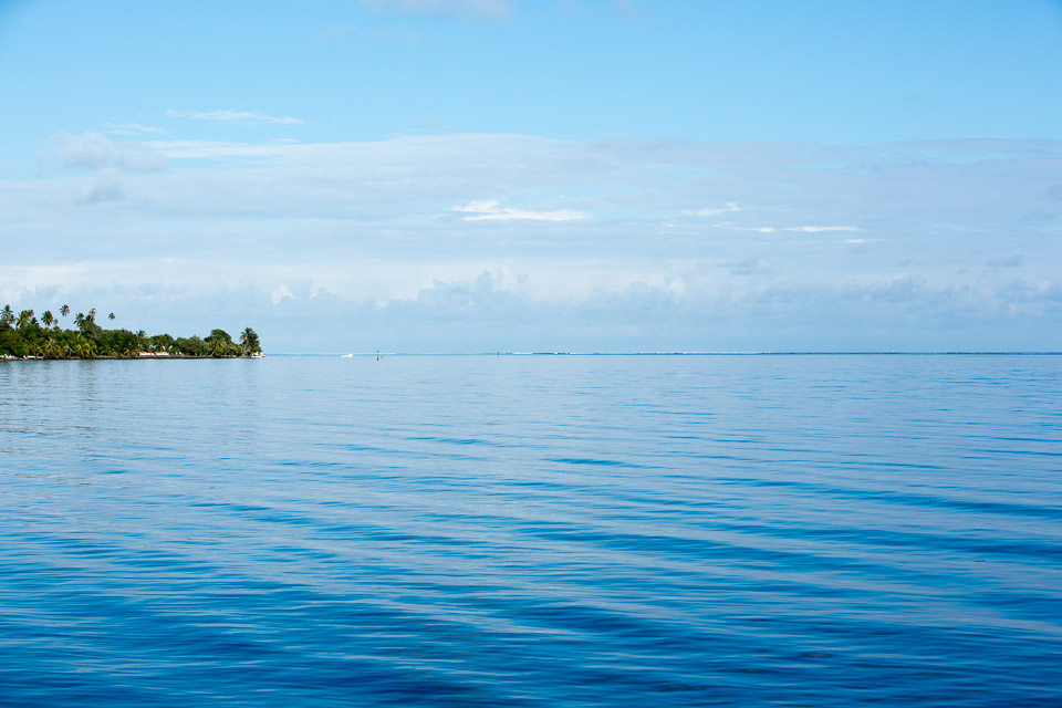 3L9A8429.jpg Iles du vent - Moorea - Copyright : See Otherwise 2012 - 2024