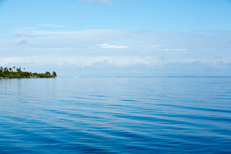 3L9A8429.jpg Iles du vent - Moorea - Copyright : See Otherwise 2012 - 2025