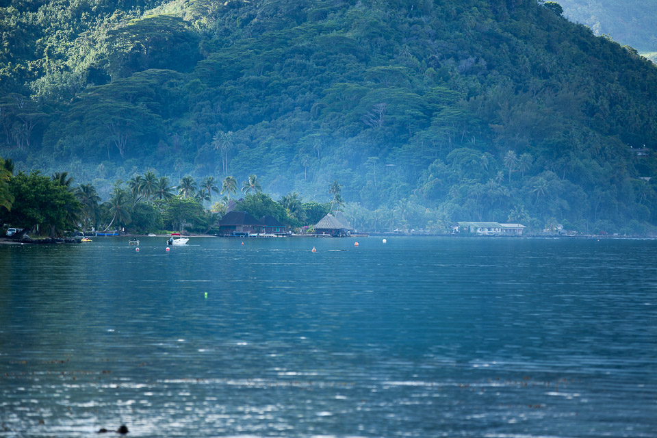 3L9A8432.jpg Iles du vent - Moorea - Copyright : See Otherwise 2012 - 2025