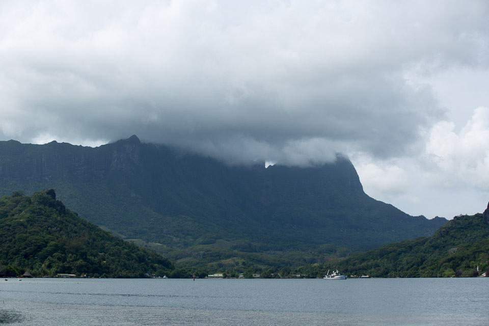 3L9A8446.jpg Iles du vent - Moorea - Copyright : See Otherwise 2012 - 2025