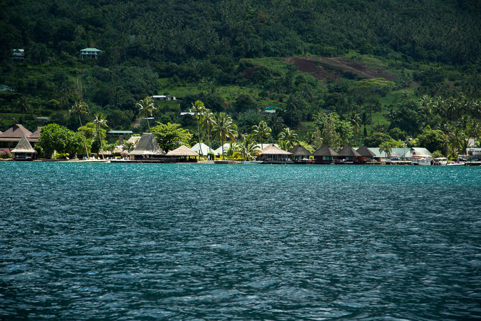 3L9A8463.jpg Iles du vent - Moorea - Copyright : See Otherwise 2012 - 2025