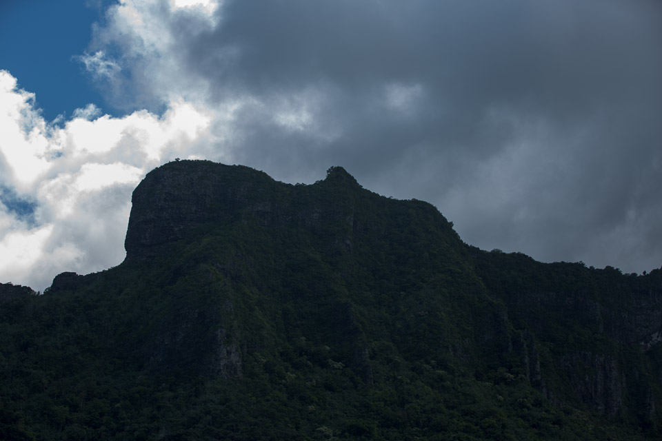 3L9A8466.jpg Iles du vent - Moorea - Copyright : See Otherwise 2012 - 2024