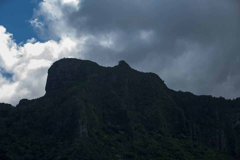 3L9A8466.jpg Iles du vent - Moorea - Copyright : See Otherwise 2012 - 2025