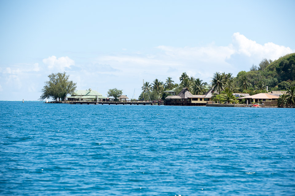 3L9A8467.jpg Iles du vent - Moorea - Copyright : See Otherwise 2012 - 2024