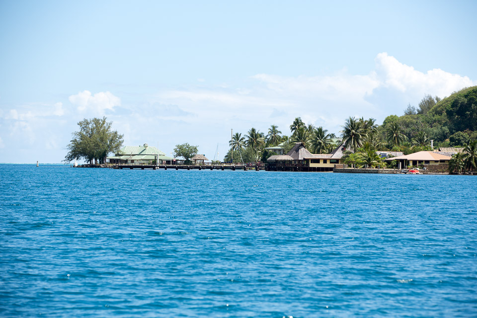 3L9A8467.jpg Iles du vent - Moorea - Copyright : See Otherwise 2012 - 2025