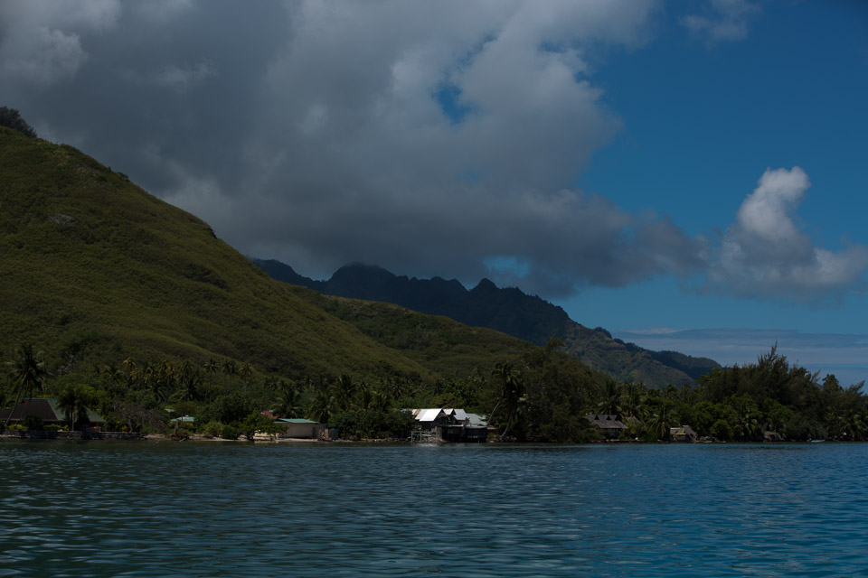 3L9A8491.jpg Iles du vent - Moorea - Copyright : See Otherwise 2012 - 2024