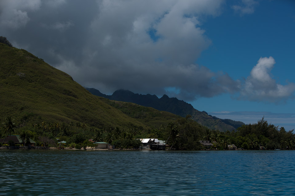 3L9A8491.jpg Iles du vent - Moorea - Copyright : See Otherwise 2012 - 2025