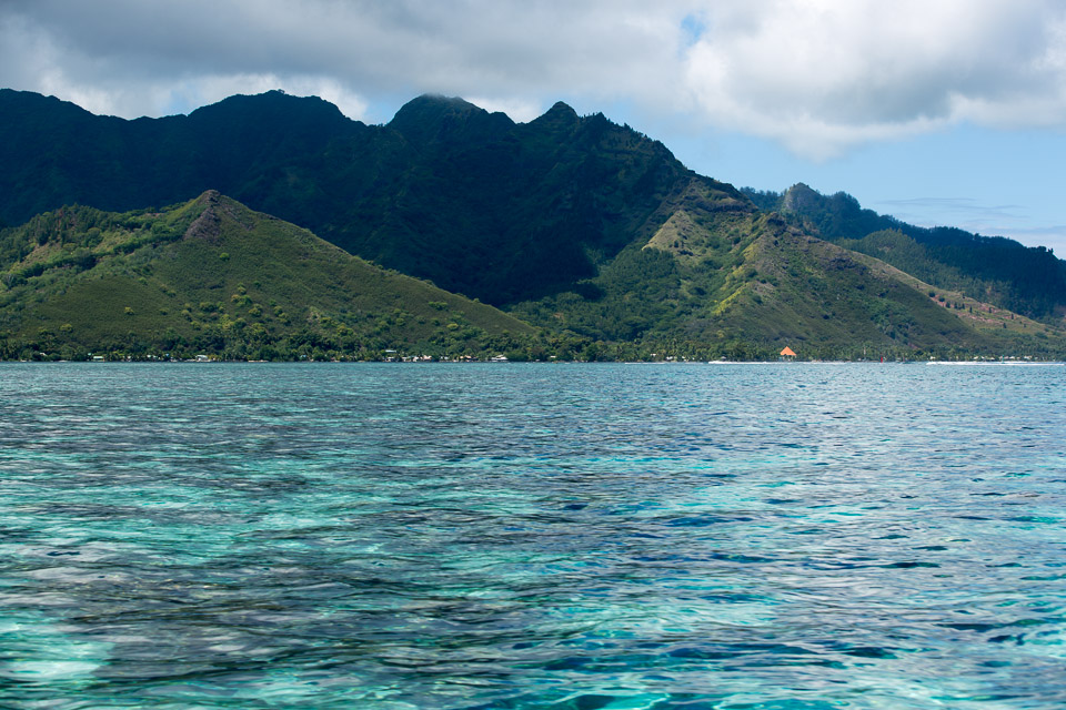 3L9A8498.jpg Iles du vent - Moorea - Copyright : See Otherwise 2012 - 2024