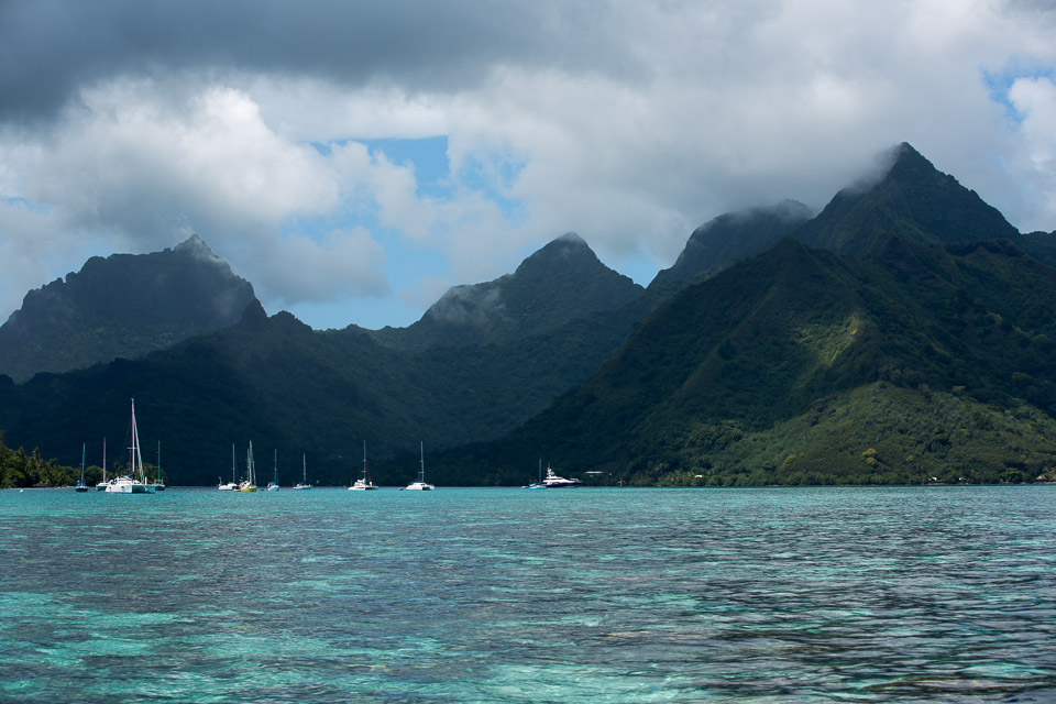 3L9A8500.jpg Iles du vent - Moorea - Copyright : See Otherwise 2012 - 2024