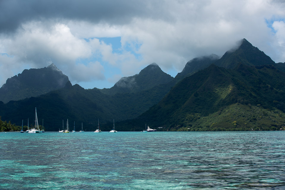 3L9A8500.jpg Iles du vent - Moorea - Copyright : See Otherwise 2012 - 2025