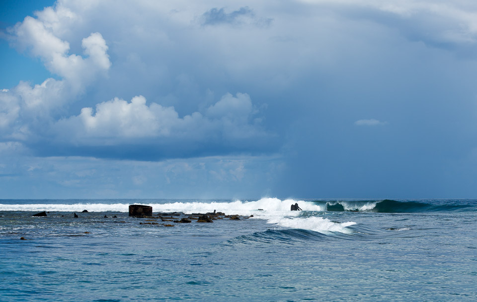 3L9A8507.jpg Iles du vent - Moorea - Copyright : See Otherwise 2012 - 2025