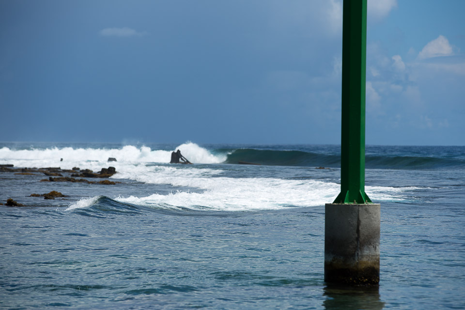 3L9A8508.jpg Iles du vent - Moorea - Copyright : See Otherwise 2012 - 2025