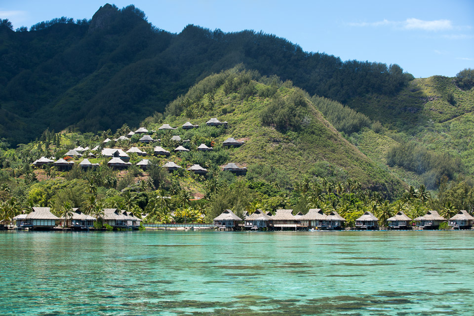 3L9A8514.jpg Iles du vent - Moorea - Copyright : See Otherwise 2012 - 2024