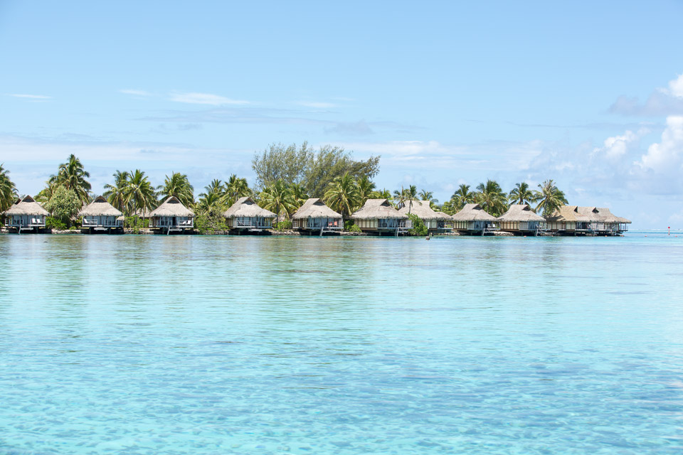 3L9A8520.jpg Iles du vent - Moorea - Copyright : See Otherwise 2012 - 2024