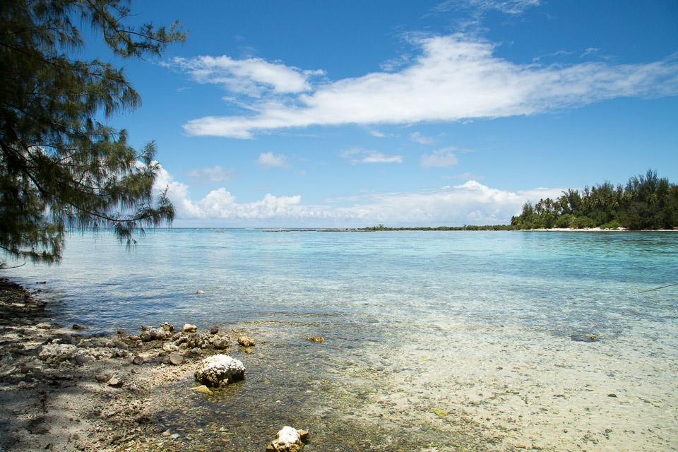 3L9A8577.jpg Iles du vent - Moorea - Copyright : See Otherwise 2012 - 2025